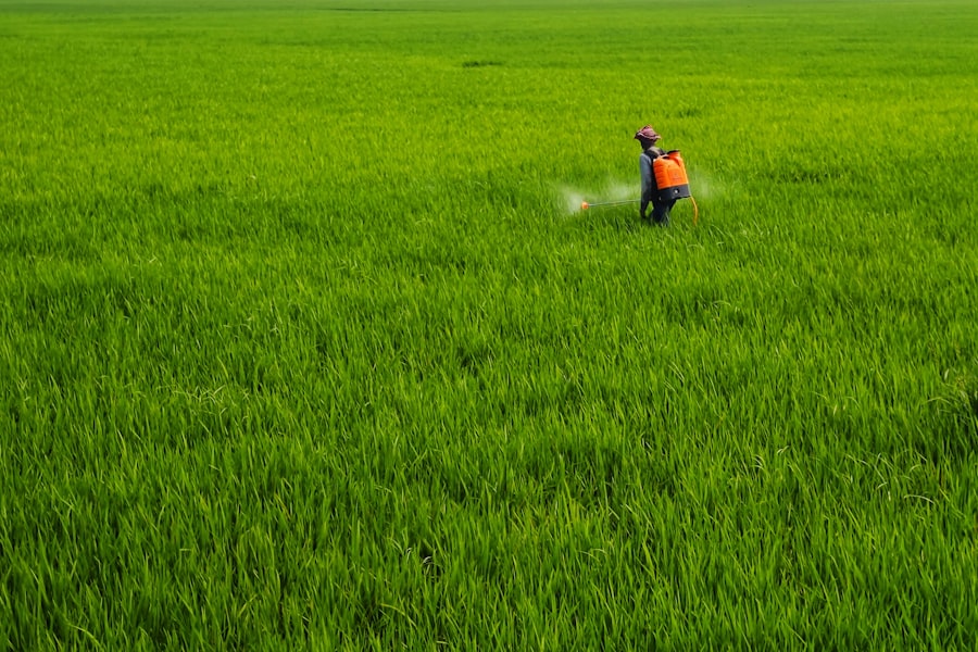 Fertilizer Technology