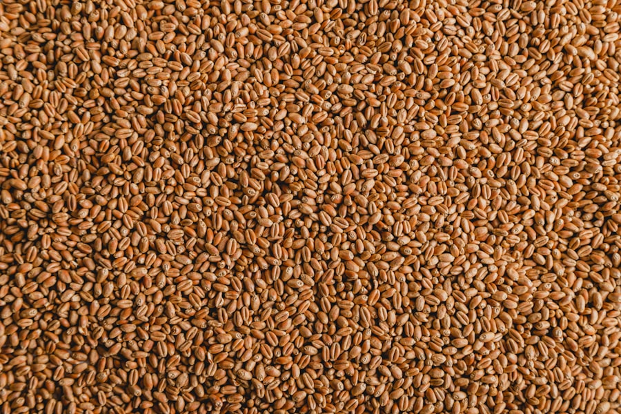 Seed Systems