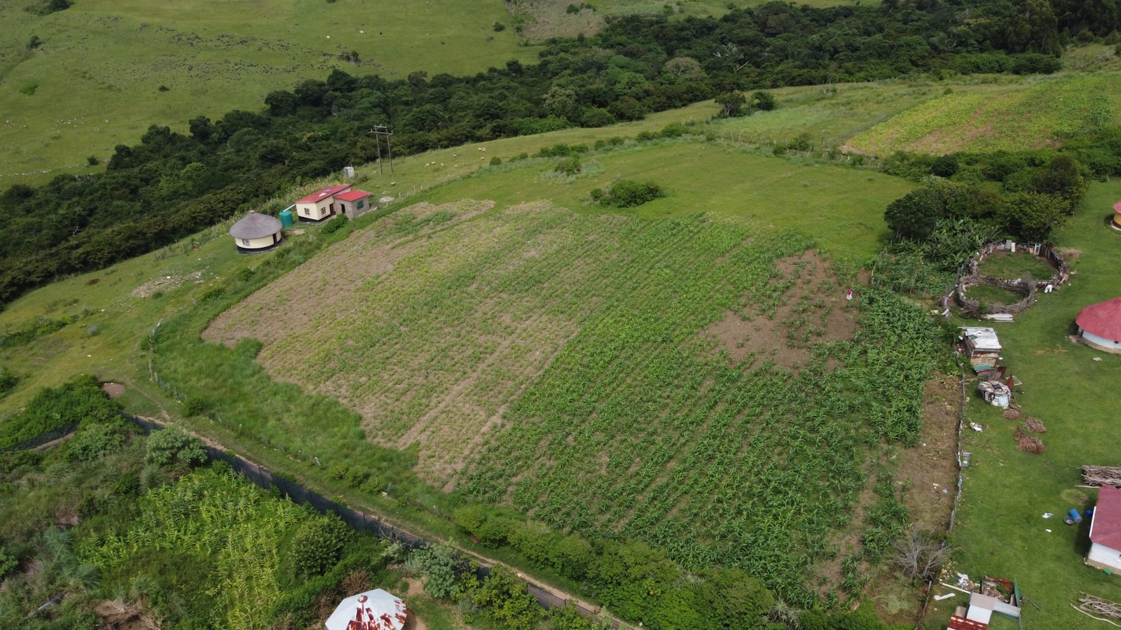 Aerial view of cropland in Kaduna State, representing the KICGIS sector.