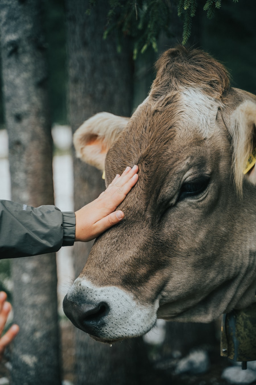Animal Health